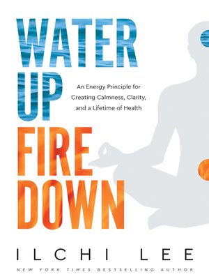Water Up Fire Down - ebook